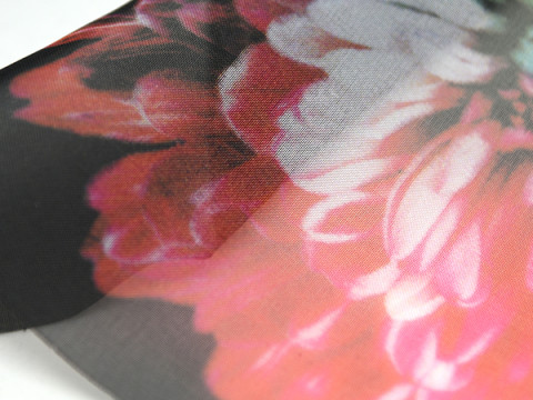 Voile CS Print