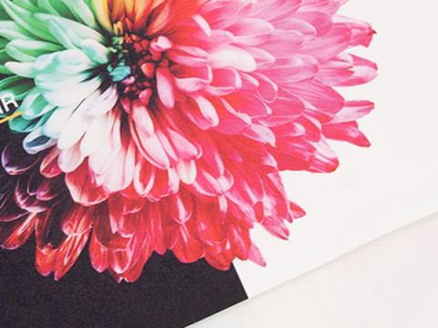 DropPaper 137 Print