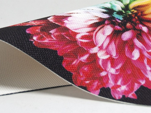 SonoMesh Print