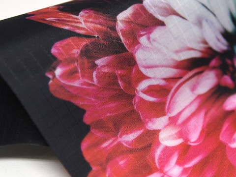 Spinnaker Print