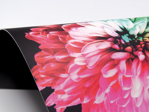 DanceCarpet Duo Print