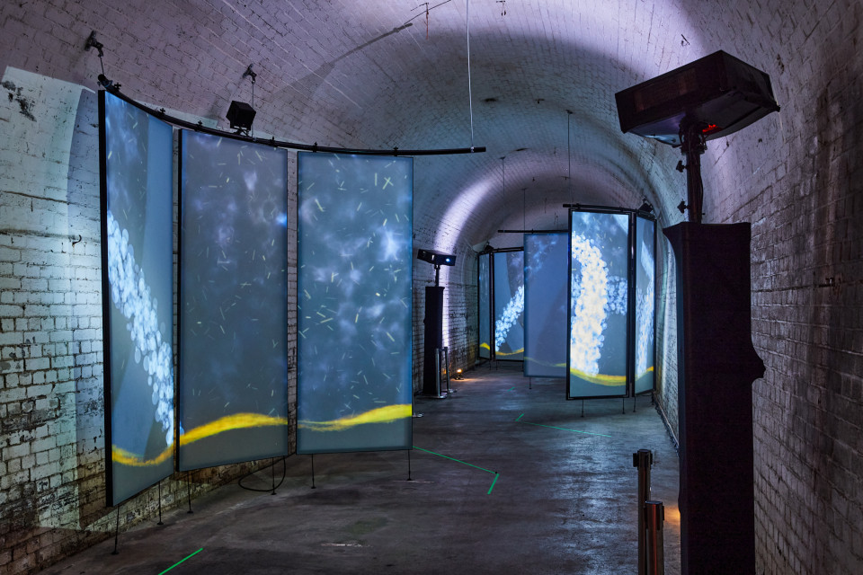 ShowTex RP Grey Plus, PolyMolton for Sleeps Hill Tunnel - Adelaide Fringe Festival