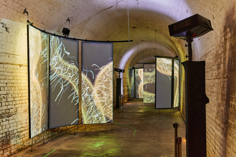 ShowTex RP Grey Plus, PolyMolton for Sleeps Hill Tunnel - Adelaide Fringe Festival