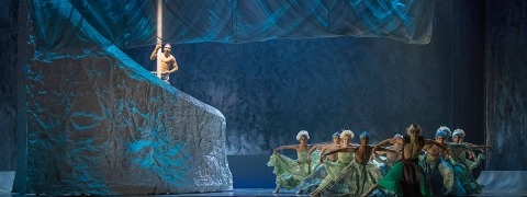 The Little Mermaid Ballet - AluShape Cretonne